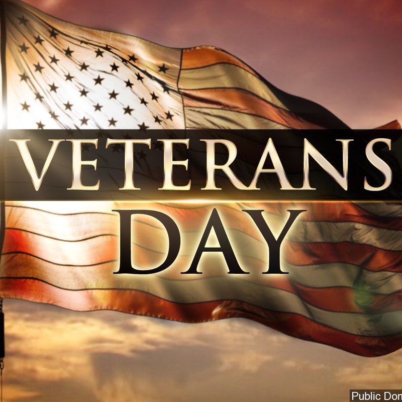 Veterans Day Free Food And Services For Active Duty Personnel And