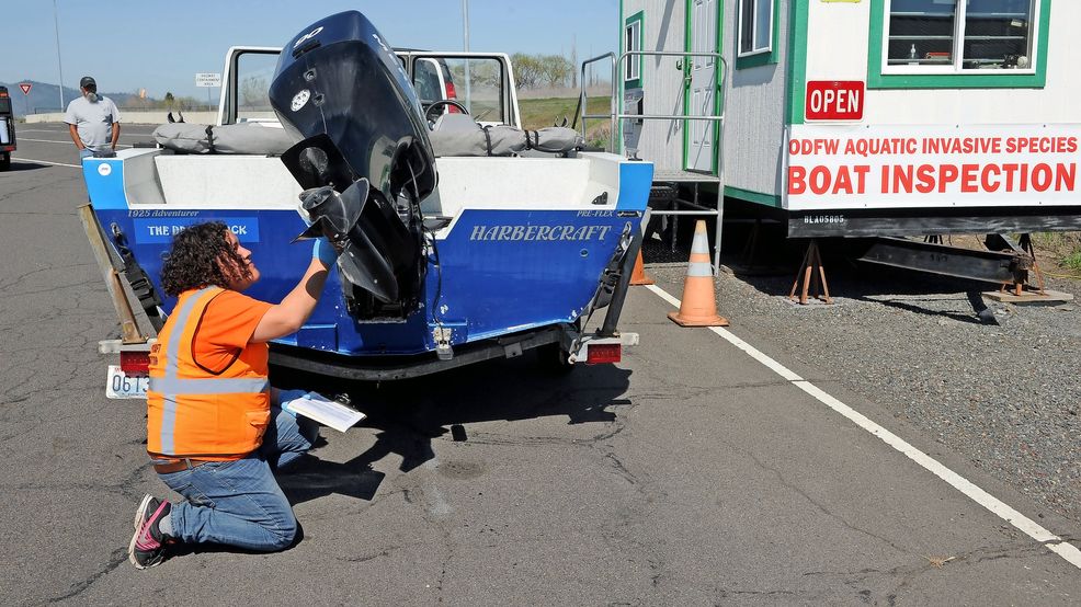 Southern Oregon boatinspection station continues to fight aquatic