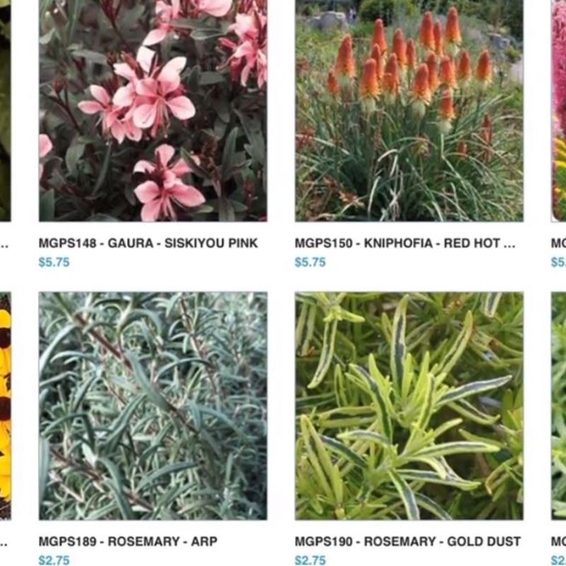 Tulsa Master Gardeners Have A Huge Number Of Plants Available For