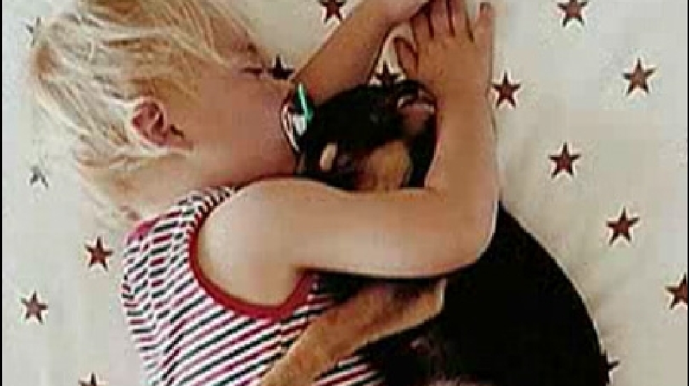 130918_puppy_nap_tb.jpg