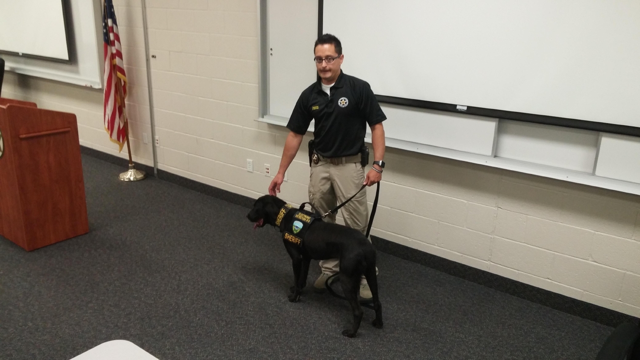 1320px x 743px - Weber County introduces its new 'porn sniffing dog' | KMTR