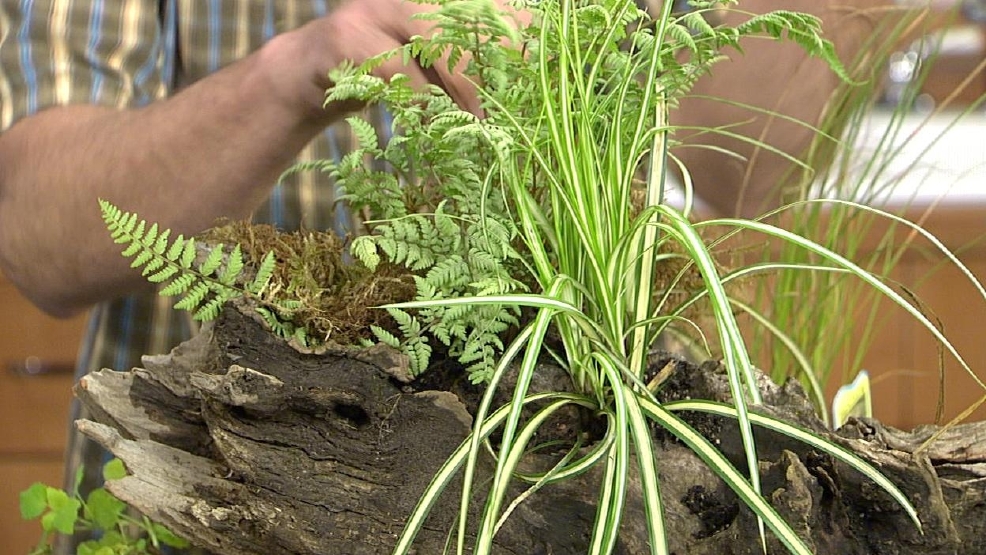052512Planters.jpg_BIM.jpg