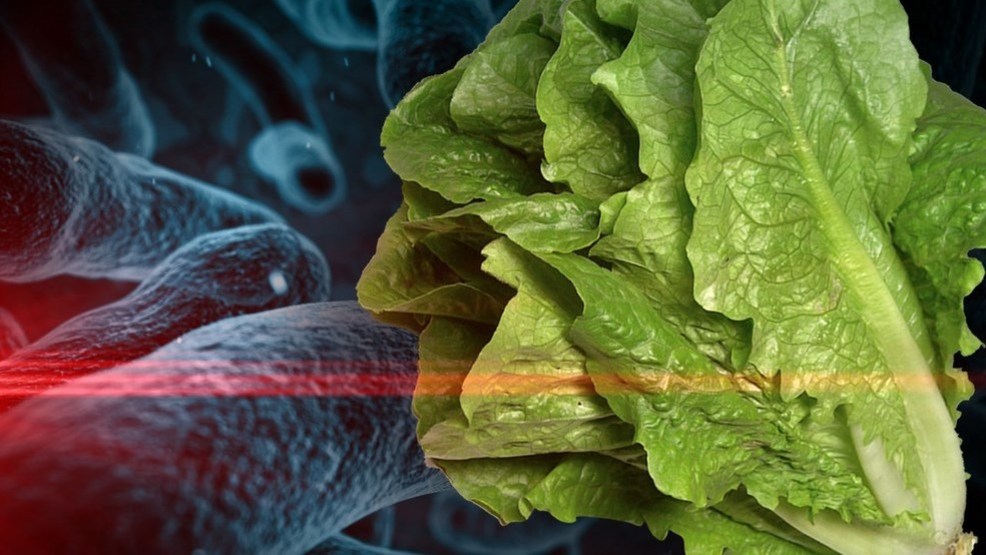 CDC issues warning about storebought chopped romaine lettuce after E
