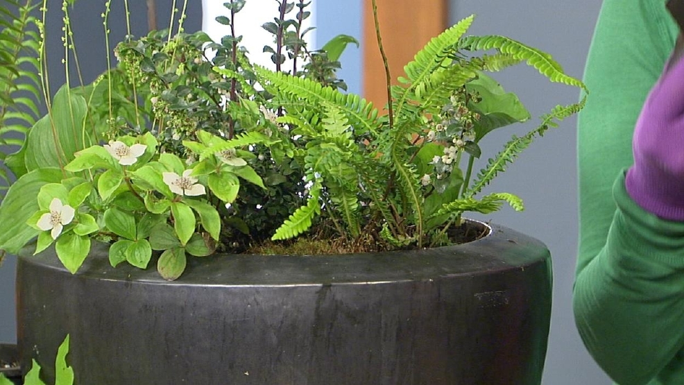 042712Gardening.jpg_BIM.jpg