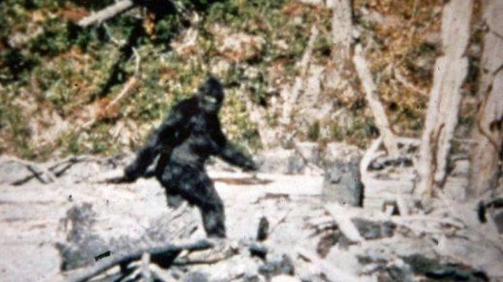 Kennewick hosts International Bigfoot Conference this weekend KOMO