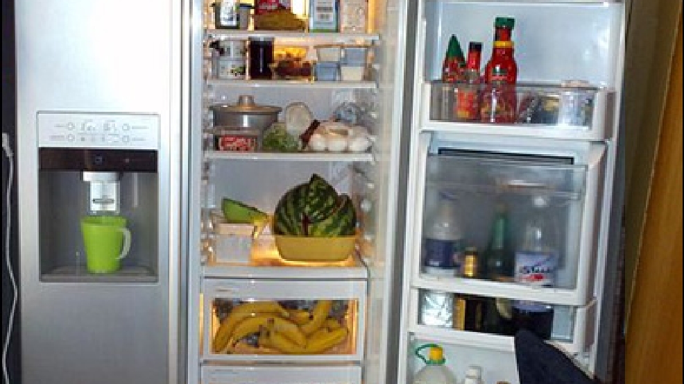 Your fridge can be a bacteria factory KOMO