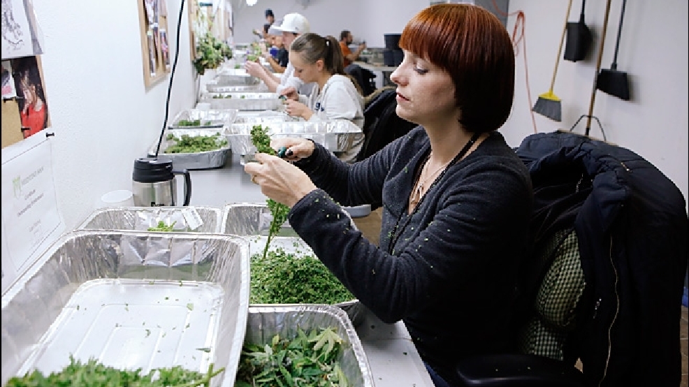 131230_marijuana_colorado_lg.jpg