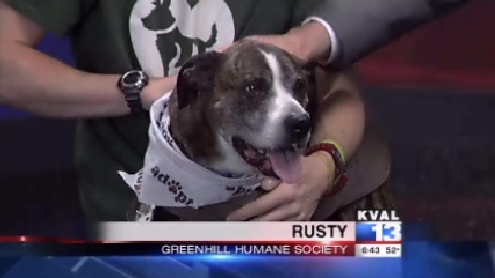 pet_rusty1.jpg