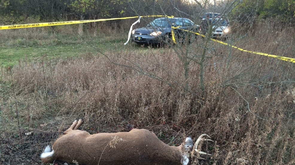 UPDATE DNR has 'person of interest' in St. Pat's Park deer poaching WSBT