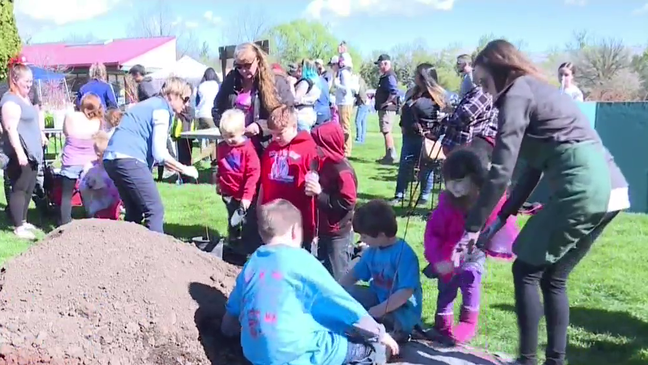 Arboretum celebrates Arbor Fest by teaching the community to protect our trees