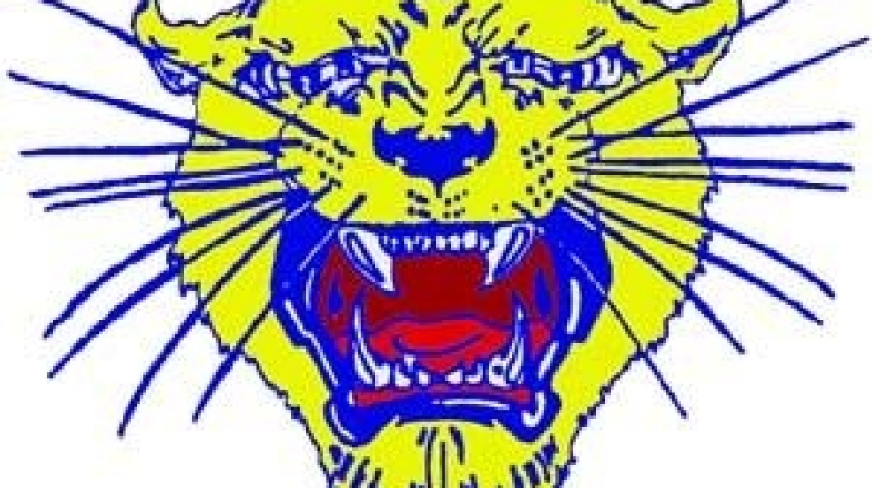 Raymondville%20Bearkats.jpg