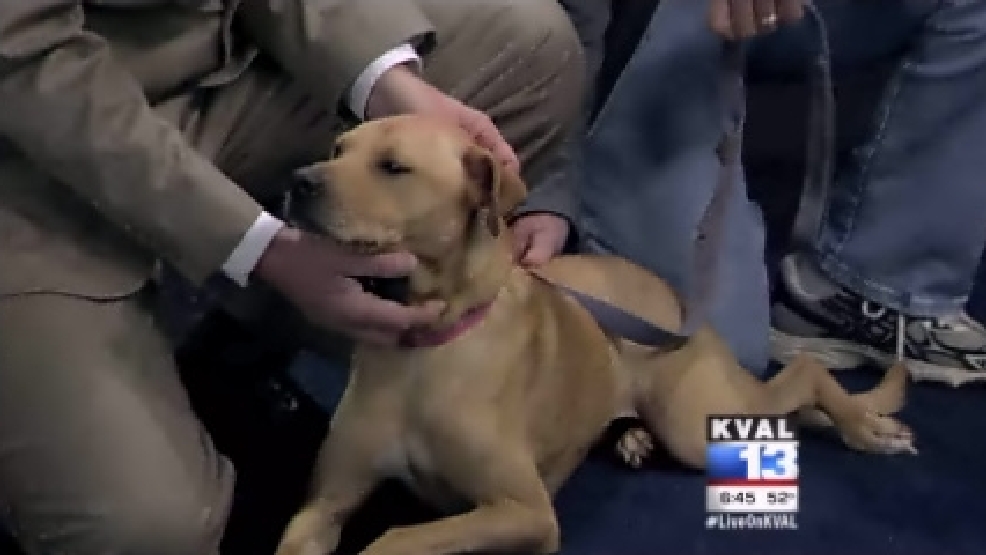 pet_goldie.jpg