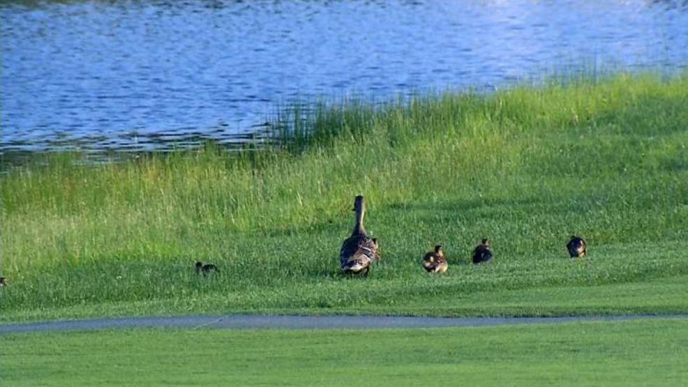 Lincoln Land Championship - Round 2 Recap LLC ROUND 2 UPDATE 3.jpg