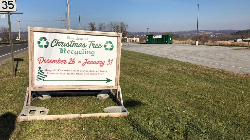 Free service helps people recycle used Christmas trees WHP