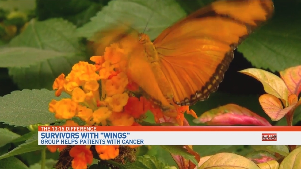 Ihavewings.jpg Ihavewings.jpg