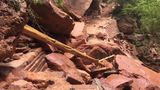 Zion National Park closes several trails indefinitely following flash floods, rockfalls
