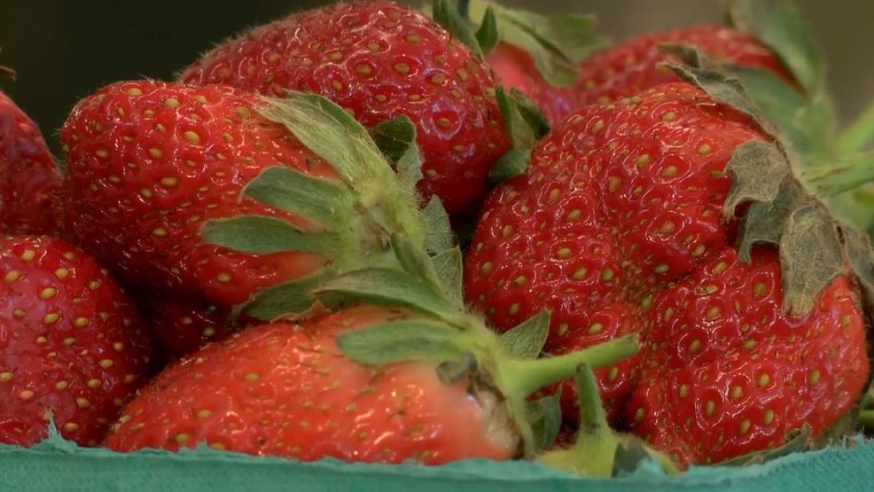 Health officials stress residents to seek care after frozen strawberry