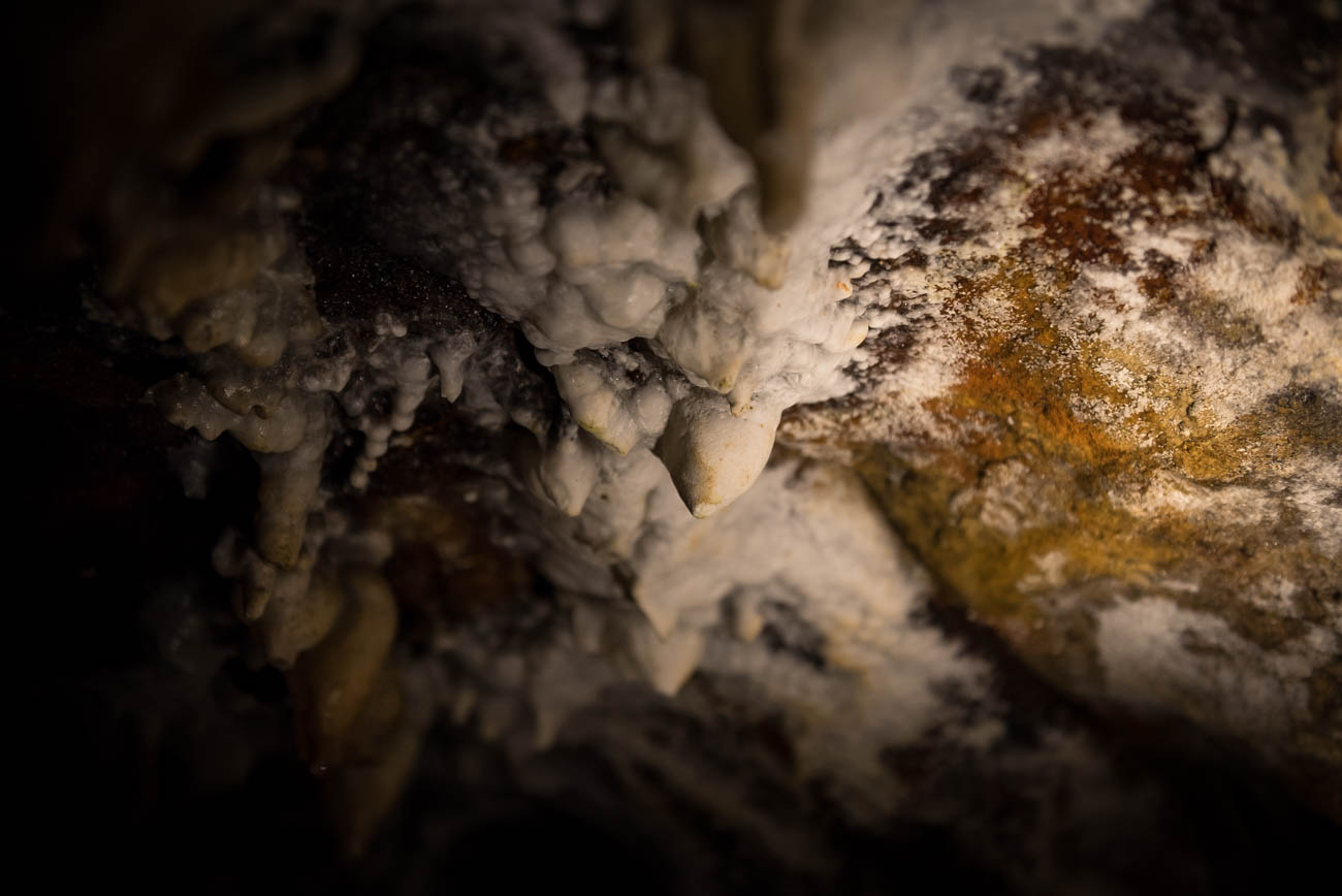 ohio caverns was discovered in 1897 when 17-year-old farm hand