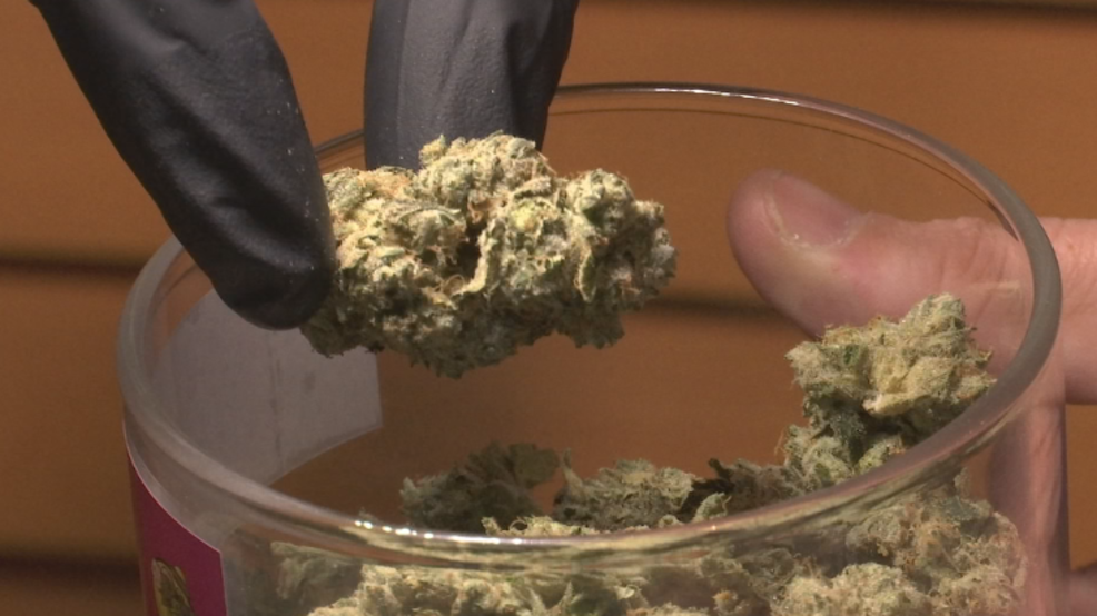 2 Years Later: A Look At Recreational Marijuana Implementation In Maine ...