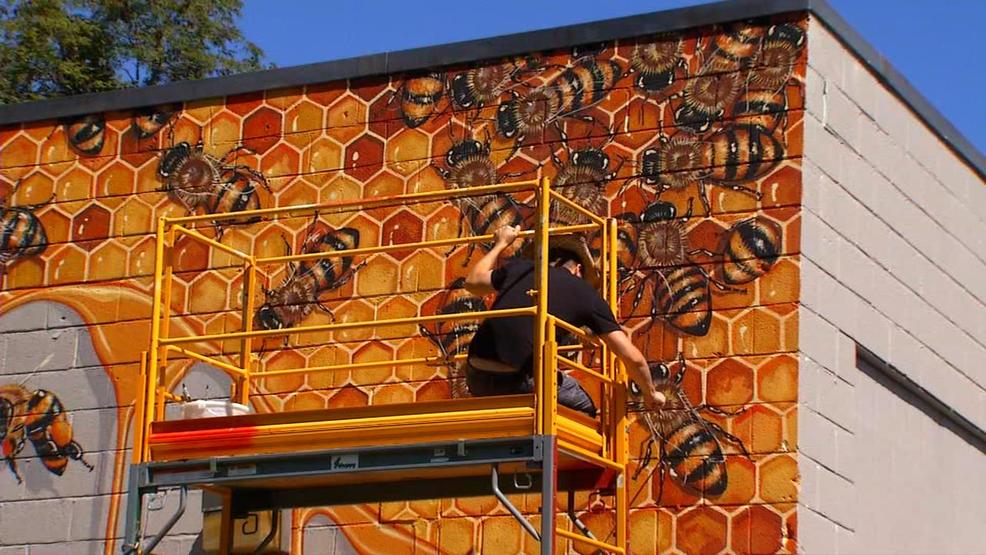 WNC man is on a mission to save honeybees | WLOS