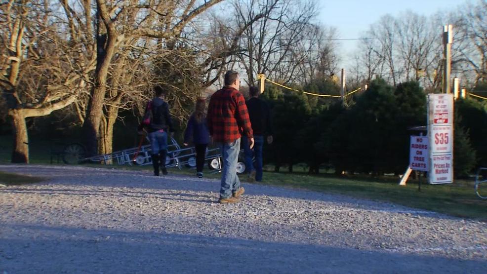 Lebanon ohio christmas tree farmer Lebanon ohio christmas tree farmer