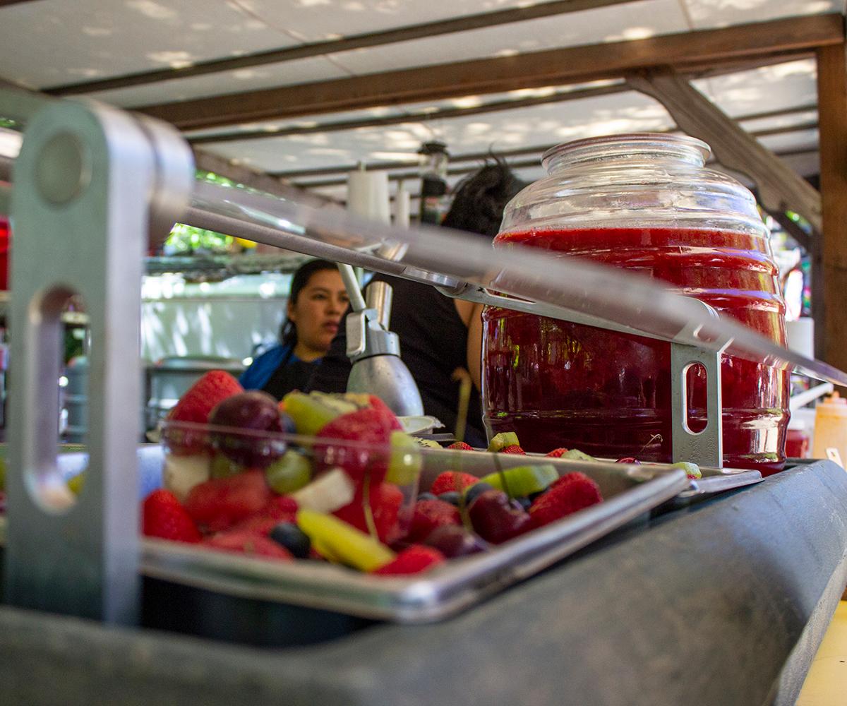 Investigating the folklore of the oregon country fair essay 06 image