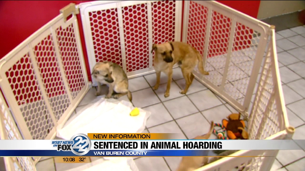 Van Buren County animal hoarders sentenced to probation | WSBT