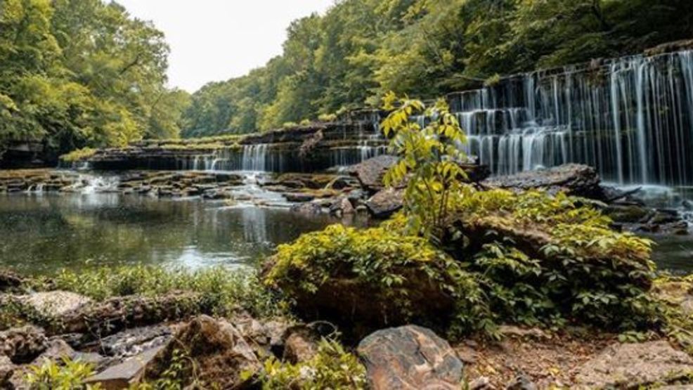 Most Tennessee State Parks reopening Friday WZTV