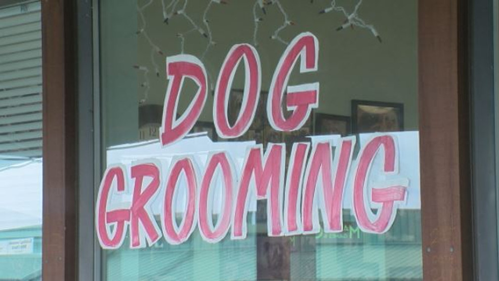 Pet groomers can now open their doors while following guidelines and