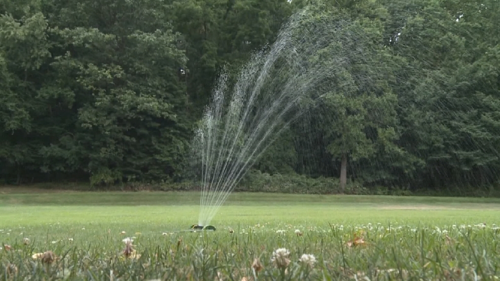 Consumers Reports: Grow green grass with less water | WJAR