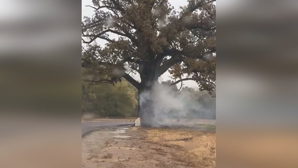 Smoke Billows Out Of Bur Oak Tree After Being Struck By Lightning Krcg 