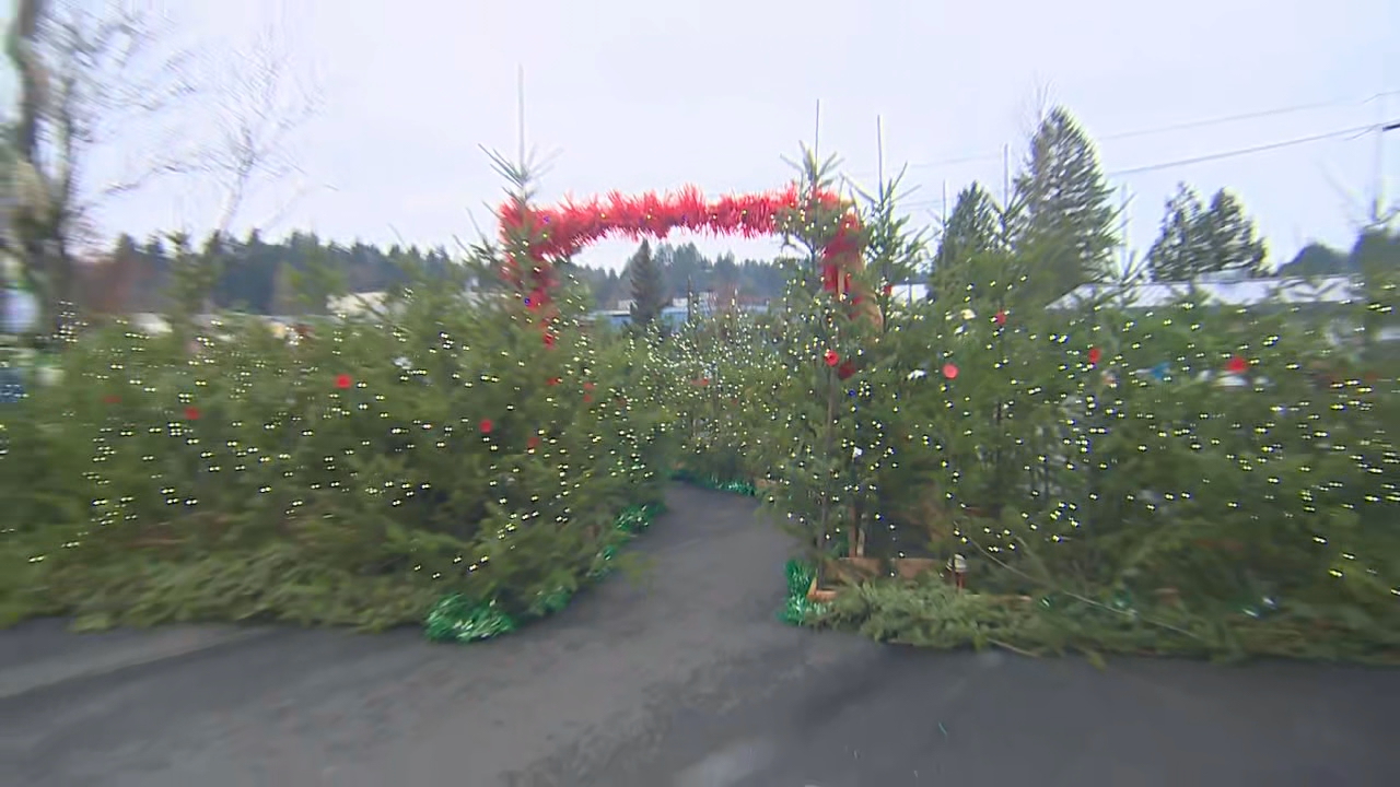 Shelton sets World Record for most lighted Christmas trees KEPR